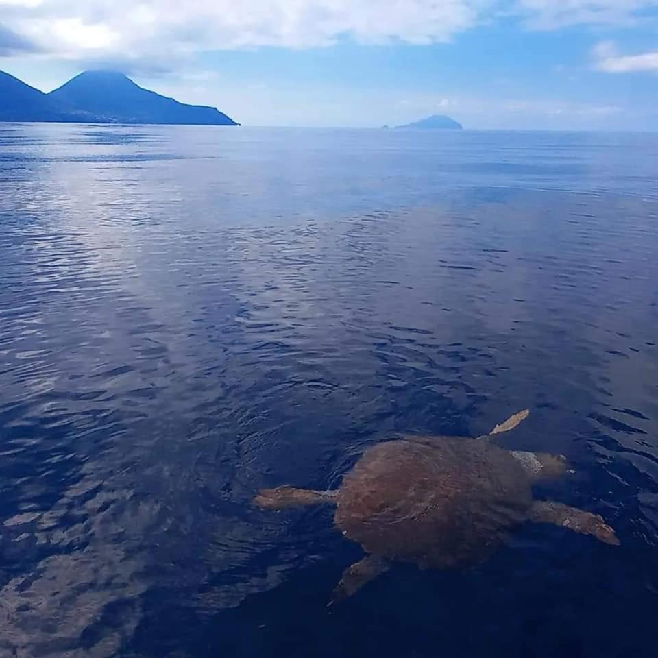 "Appartamento Del Mare Gliaca" Con Vista Isole Eolie,Ampia Terrazza,Wifi E Parcheggio Privato Gratuito Piraino Luaran gambar